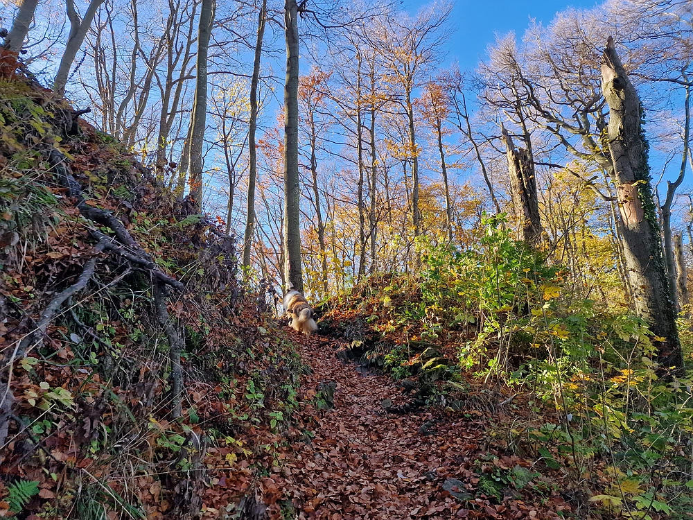 Donačka gora in Boč, 1. 11. 2025