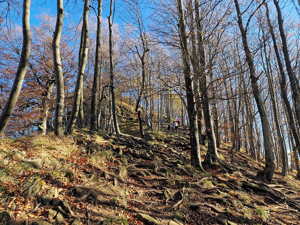Donačka gora in Boč, 1. 11. 2025