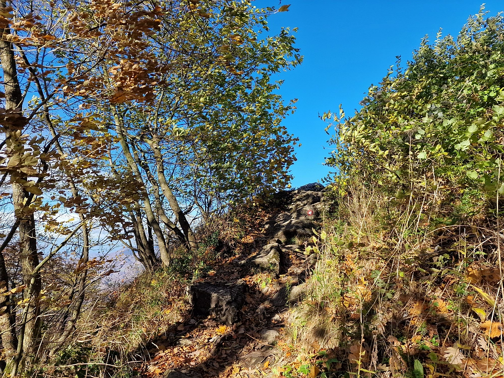 Donačka gora in Boč, 1. 11. 2025
