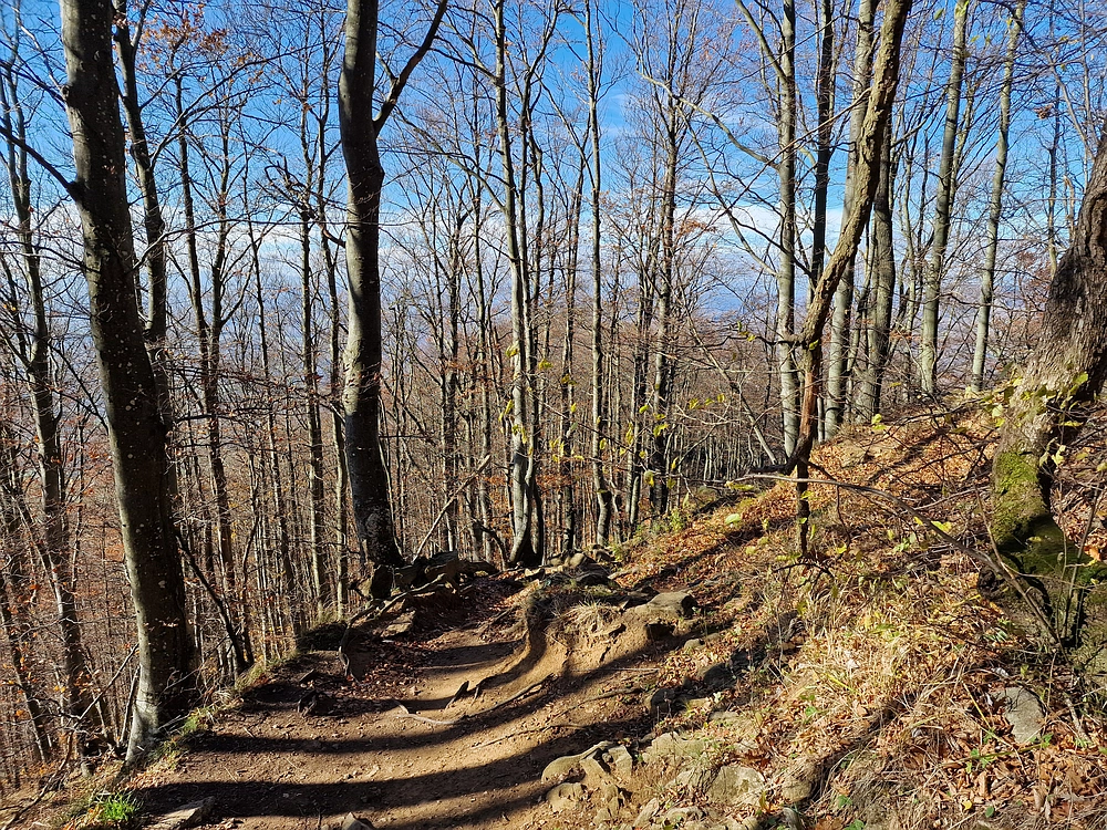 Donačka gora in Boč, 1. 11. 2025