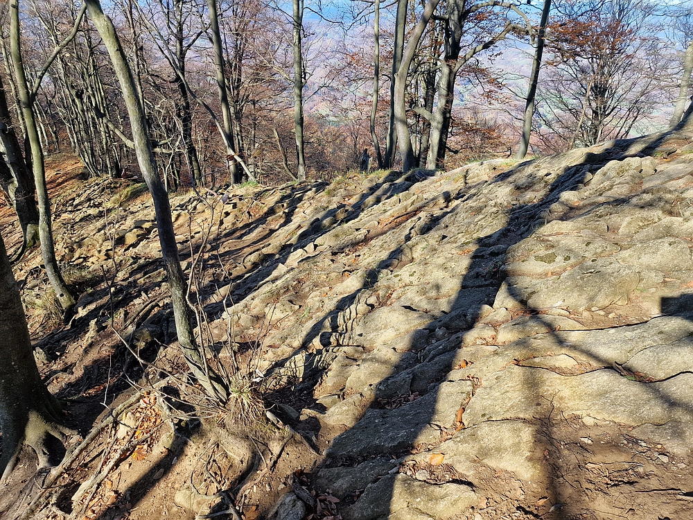 Donačka gora in Boč, 1. 11. 2025