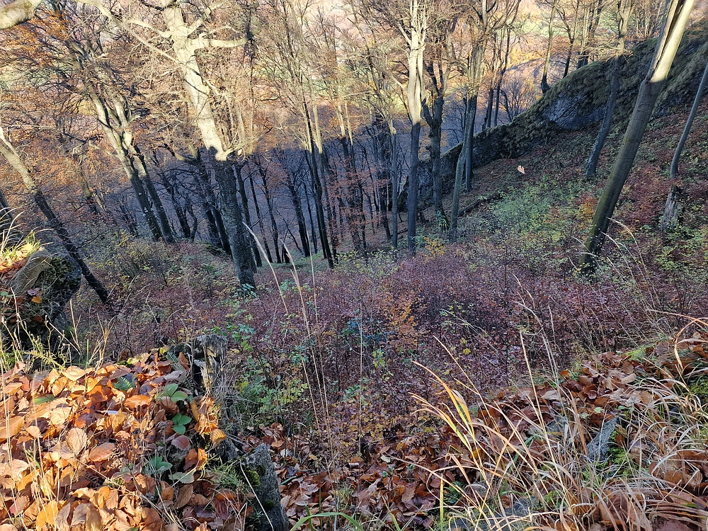 Donačka gora in Boč, 1. 11. 2025