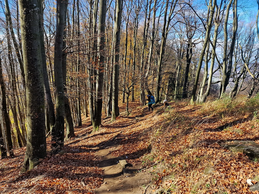 Donačka gora in Boč, 1. 11. 2025