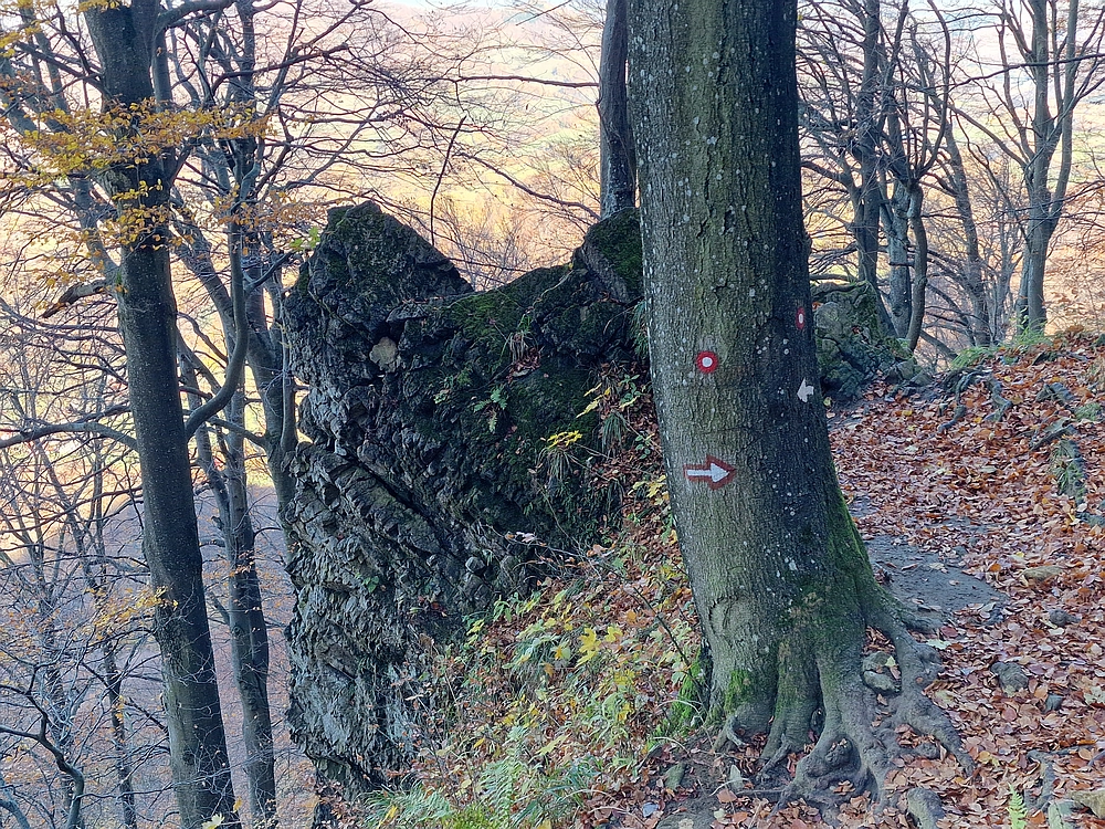 Donačka gora in Boč, 1. 11. 2025