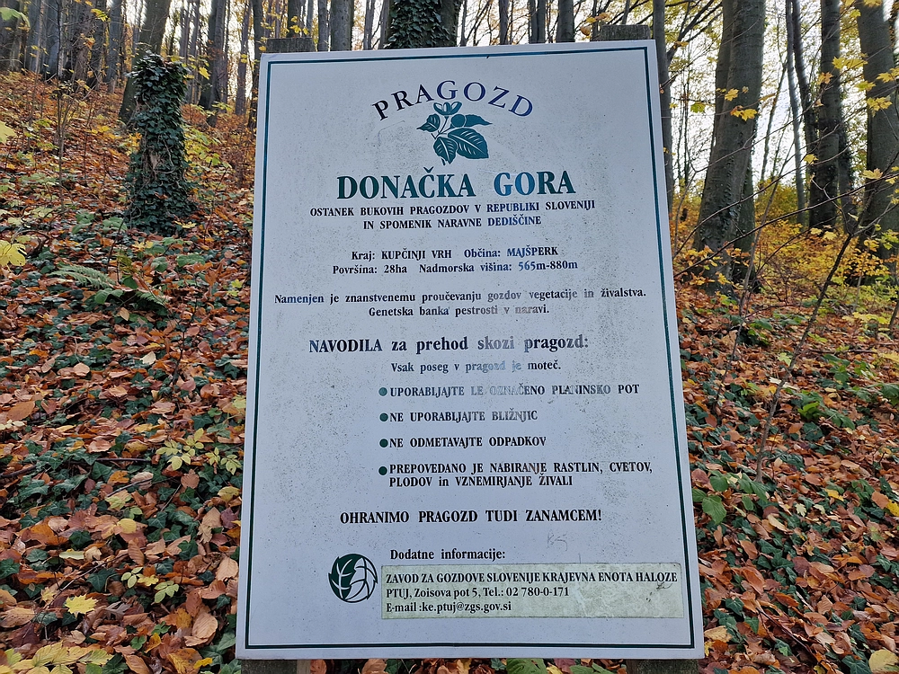 Donačka gora in Boč, 1. 11. 2025