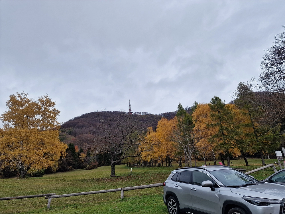 Donačka gora in Boč, 1. 11. 2025