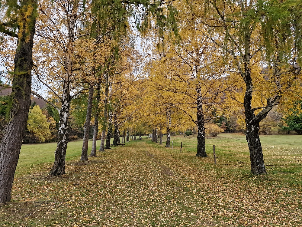 Donačka gora in Boč, 1. 11. 2025