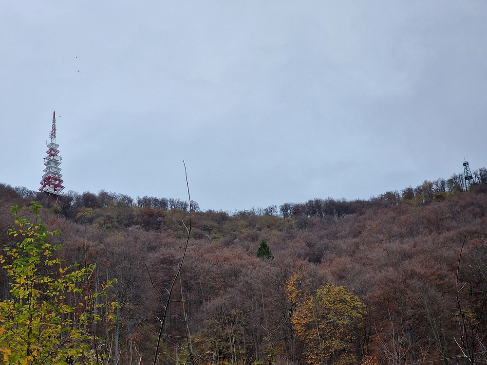 Donačka gora in Boč, 1. 11. 2025
