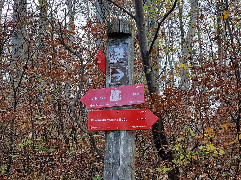 Donačka gora in Boč, 1. 11. 2025