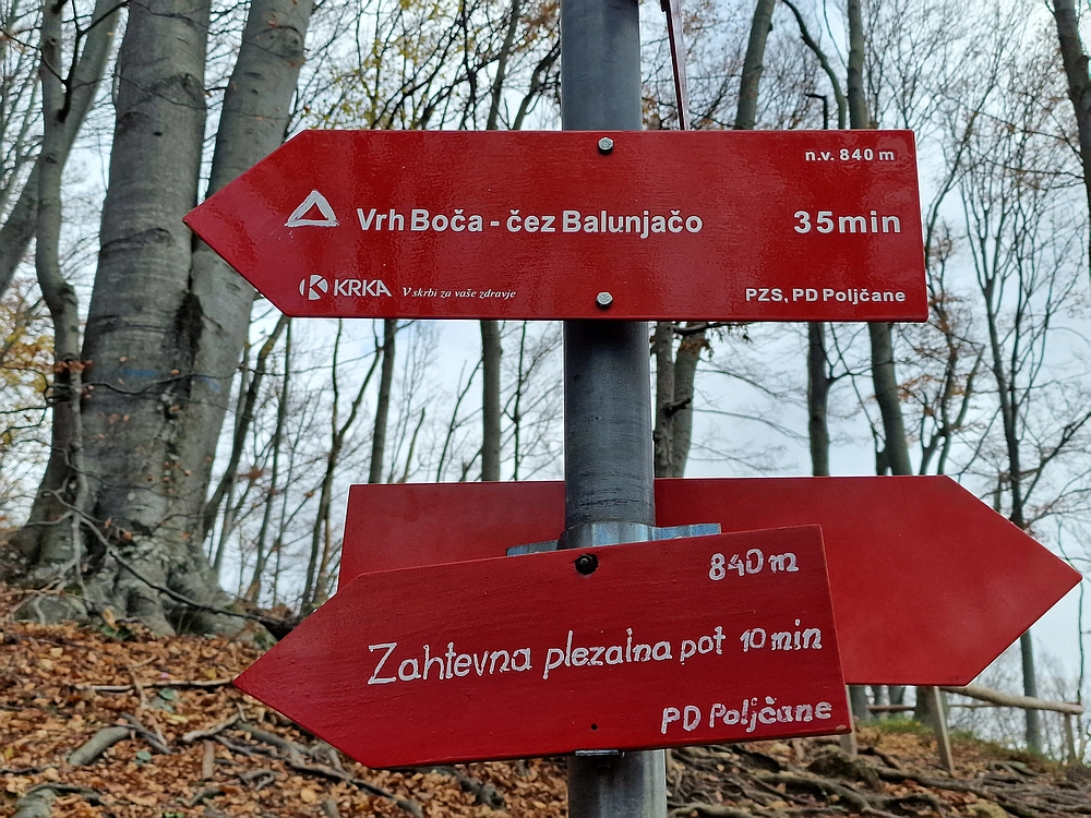 Donačka gora in Boč, 1. 11. 2025