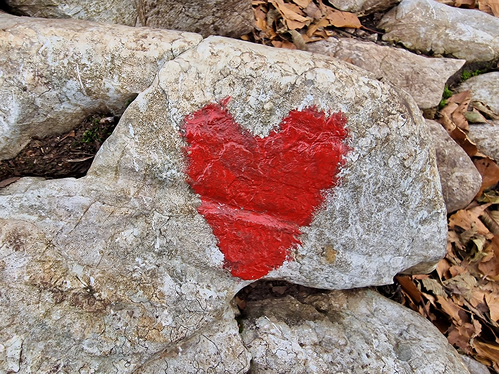 Donačka gora in Boč, 1. 11. 2025