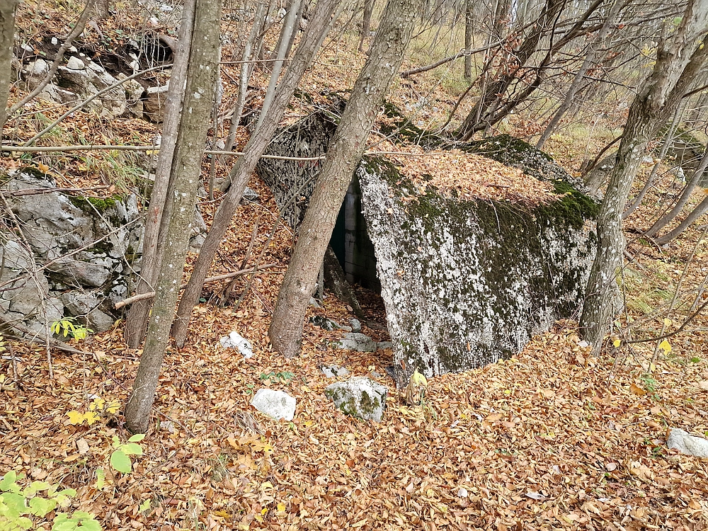 Donačka gora in Boč, 1. 11. 2025
