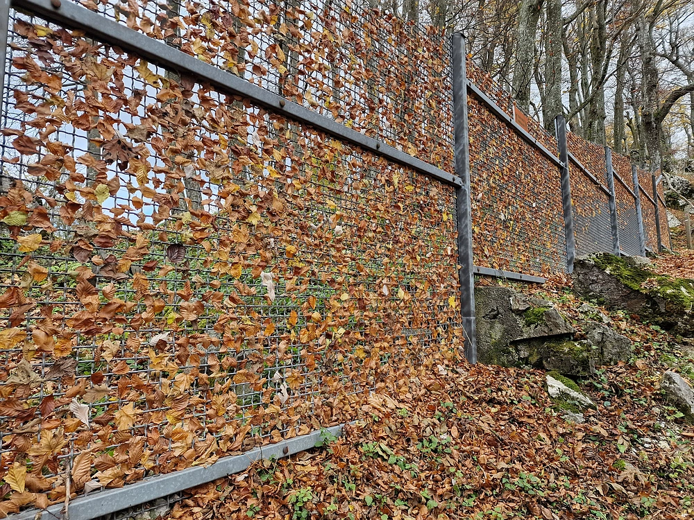 Donačka gora in Boč, 1. 11. 2025