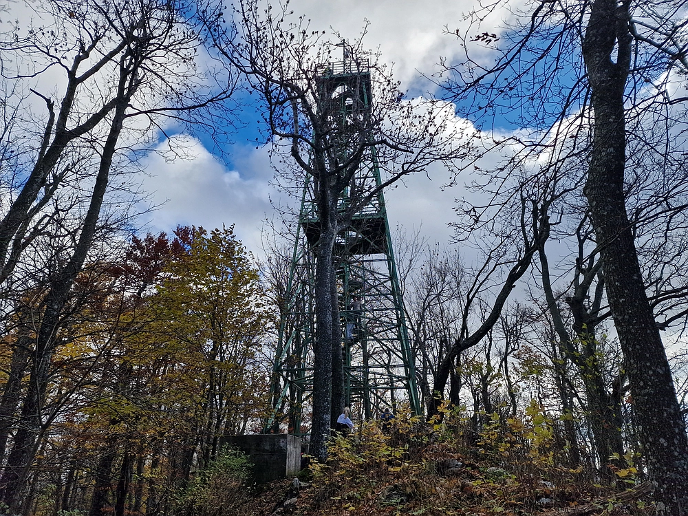 Donačka gora in Boč, 1. 11. 2025