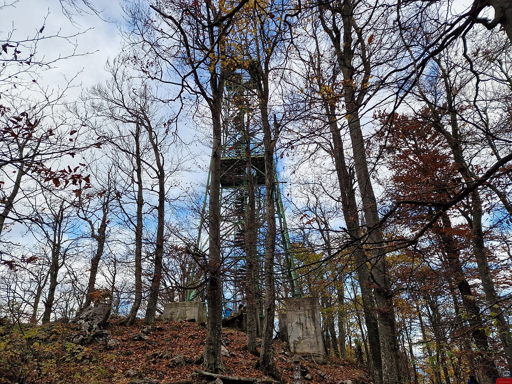 Donačka gora in Boč, 1. 11. 2025