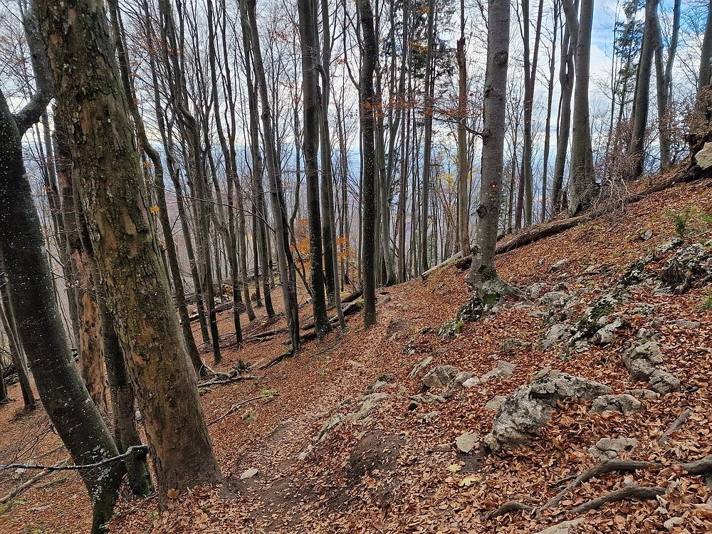 Donačka gora in Boč, 1. 11. 2025
