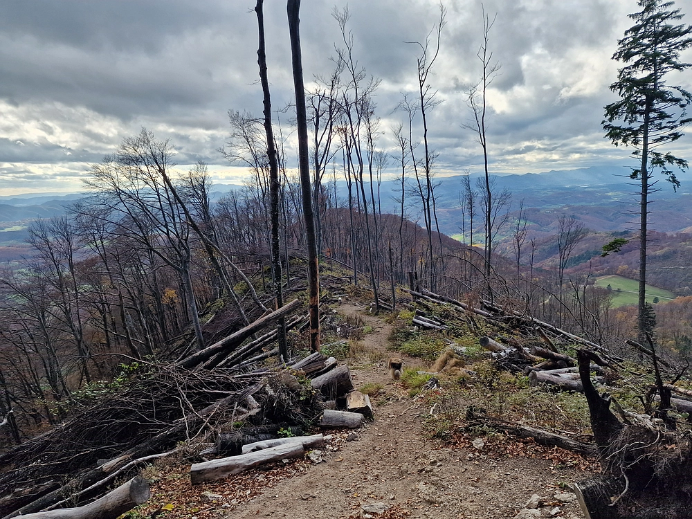 Donačka gora in Boč, 1. 11. 2025