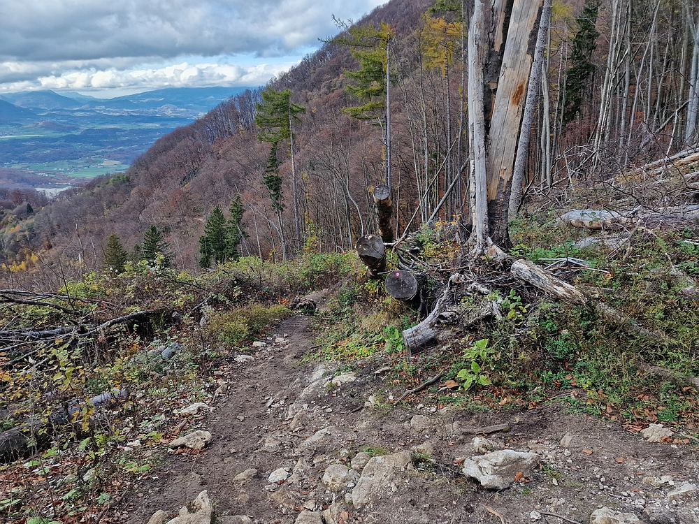 Donačka gora in Boč, 1. 11. 2025