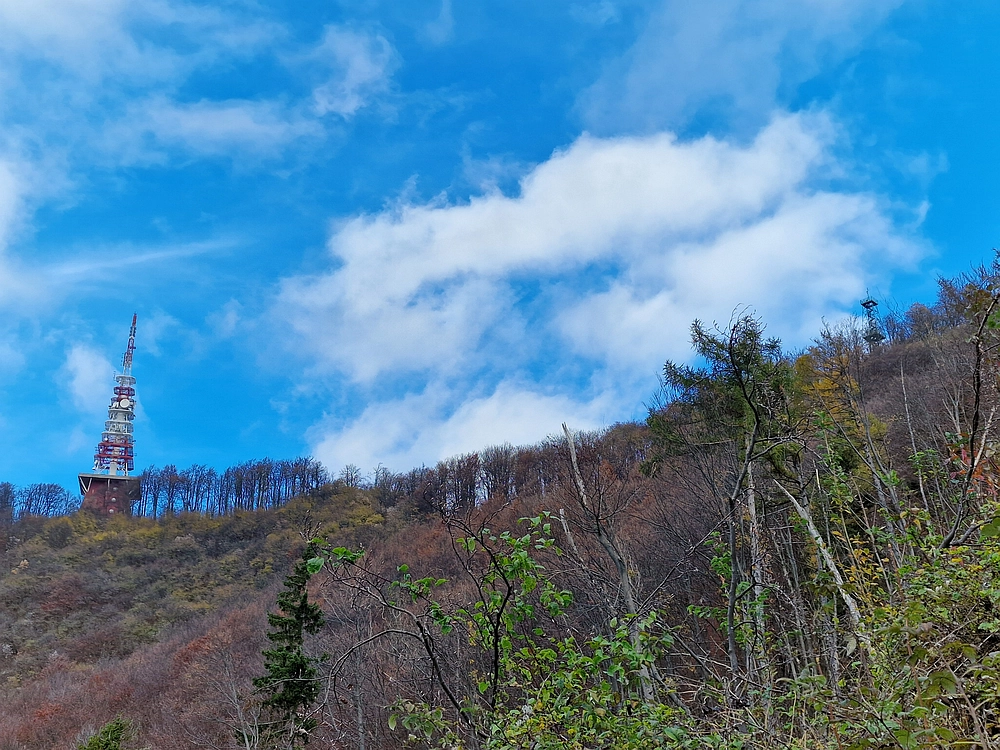 Donačka gora in Boč, 1. 11. 2025