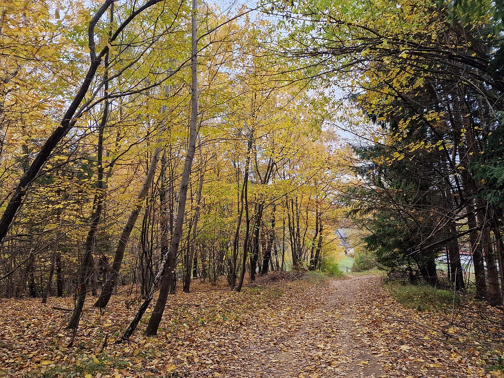 Donačka gora in Boč, 1. 11. 2025