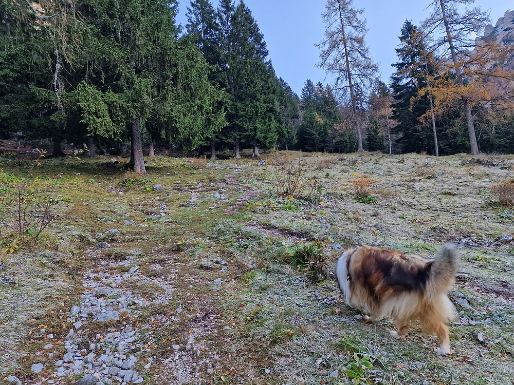 Srednji vrh, 9. 11. 2025