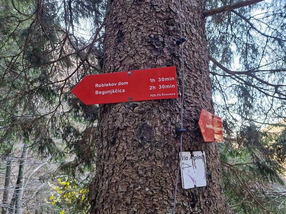 Srednji vrh, 9. 11. 2025