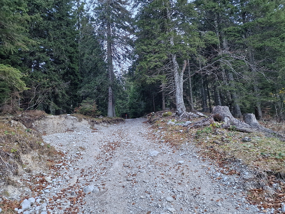 Srednji vrh, 9. 11. 2025