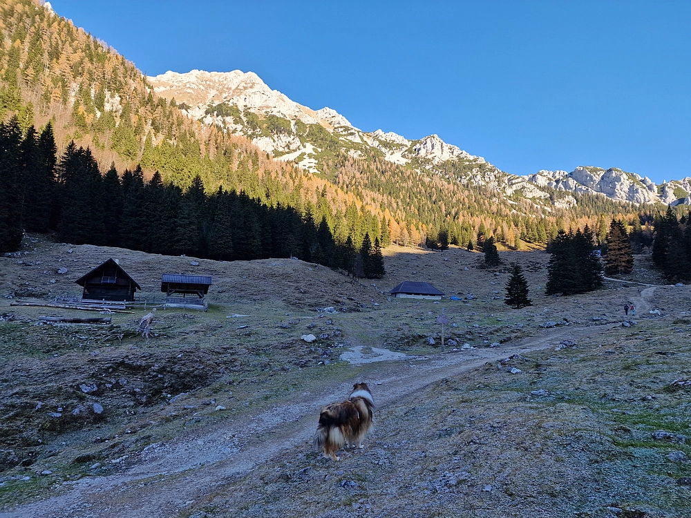 Srednji vrh, 9. 11. 2025