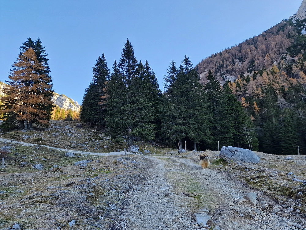 Srednji vrh, 9. 11. 2025