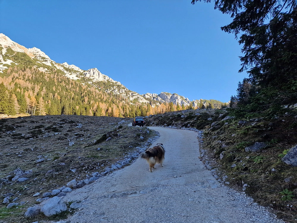 Srednji vrh, 9. 11. 2025