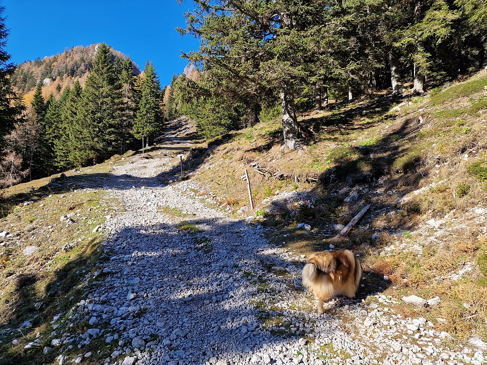 Srednji vrh, 9. 11. 2025