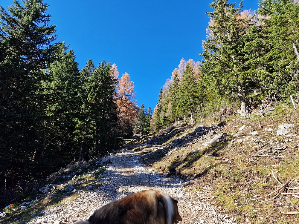 Srednji vrh, 9. 11. 2025