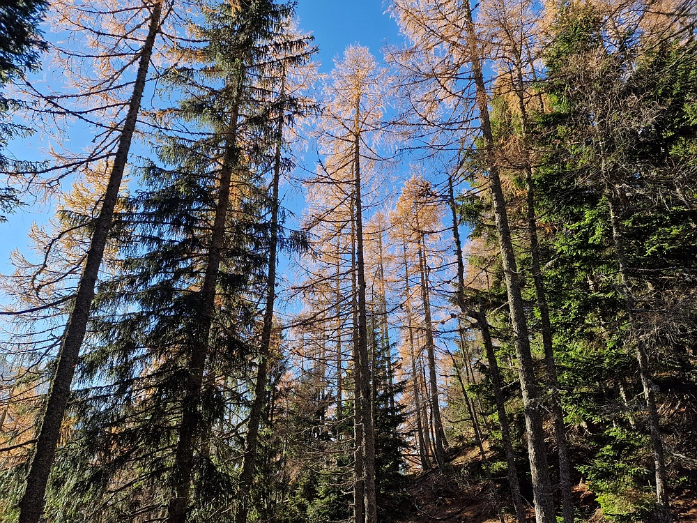 Srednji vrh, 9. 11. 2025