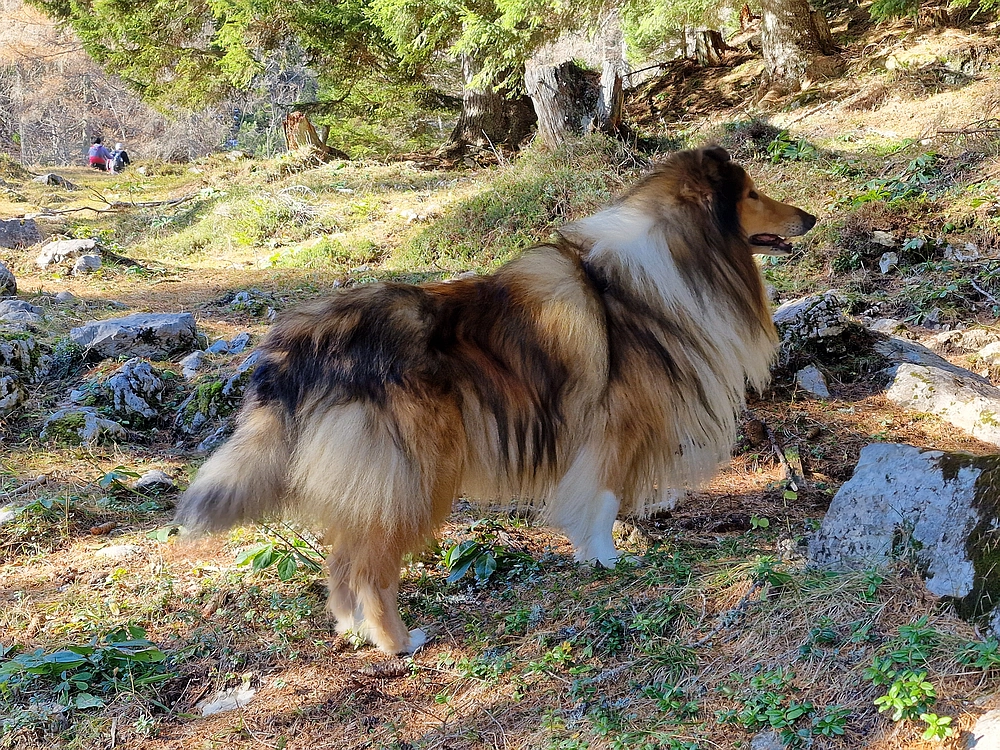 Srednji vrh, 9. 11. 2025