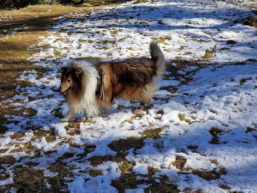 Srednji vrh, 9. 11. 2025