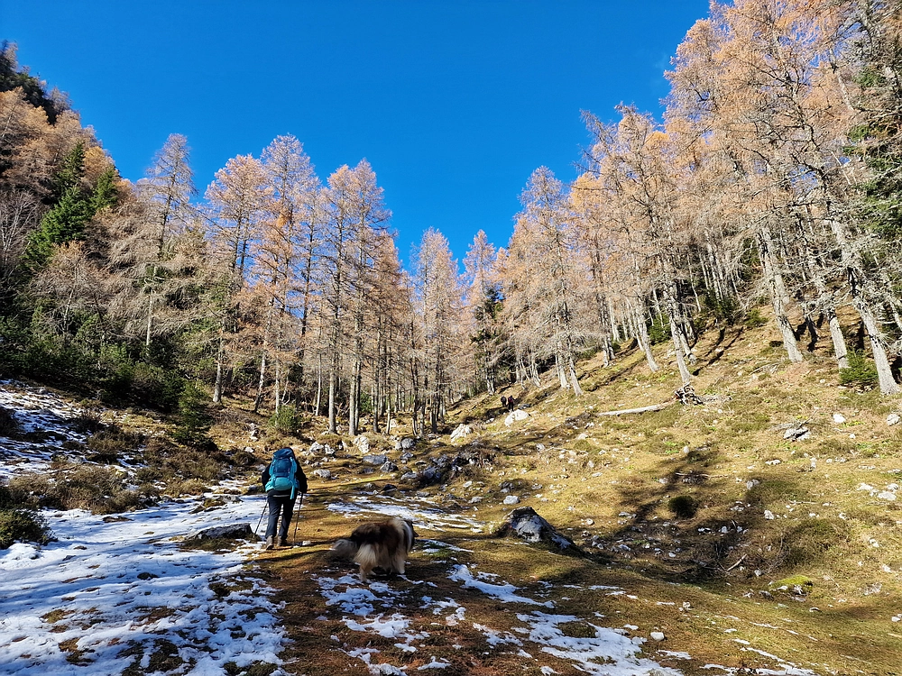 Srednji vrh, 9. 11. 2025