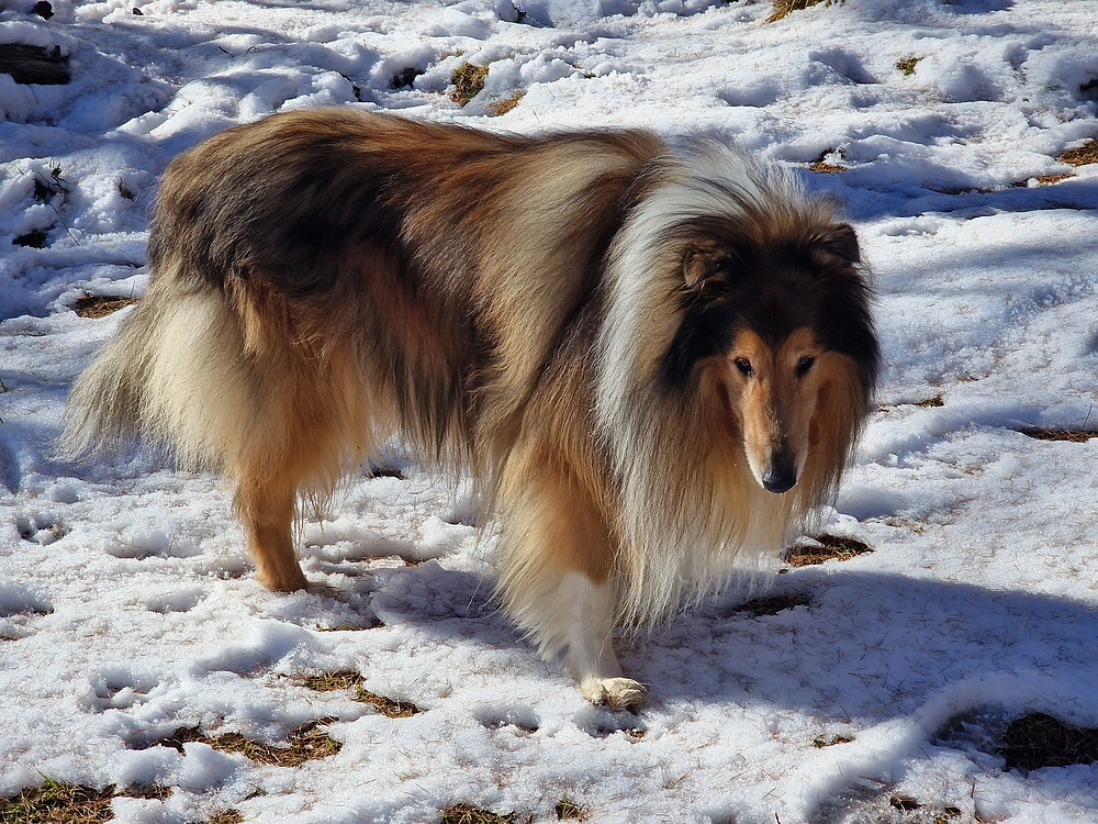 Srednji vrh, 9. 11. 2025