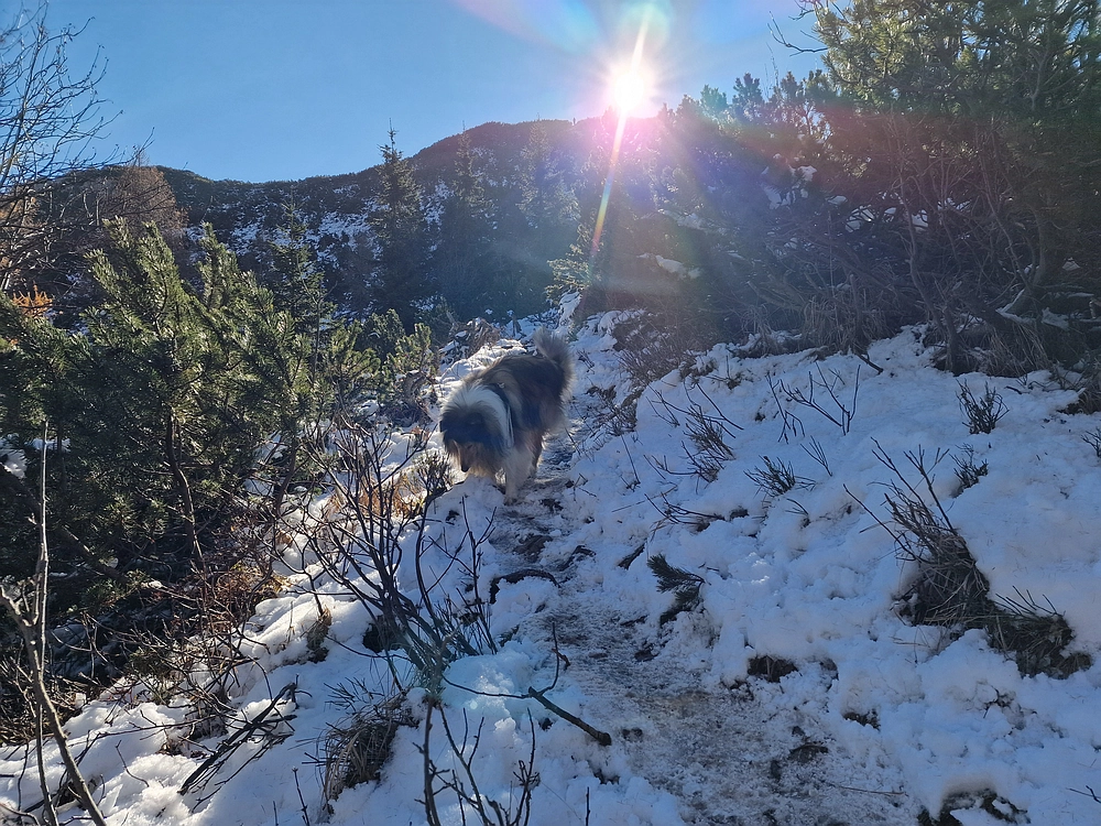 Srednji vrh, 9. 11. 2025