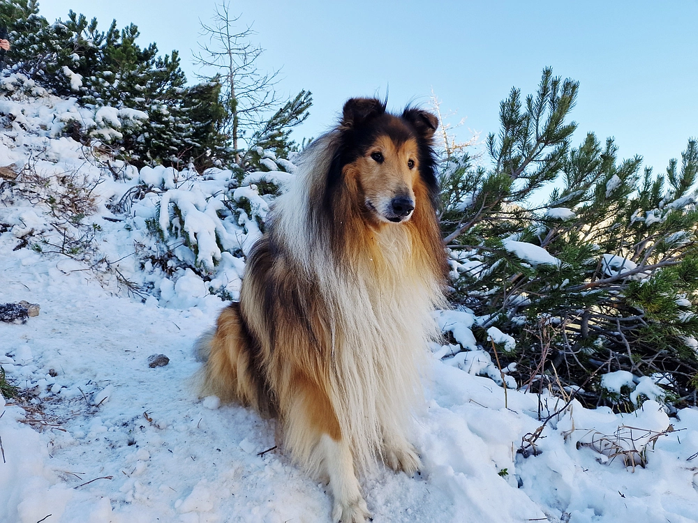 Srednji vrh, 9. 11. 2025