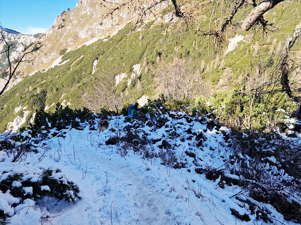 Srednji vrh, 9. 11. 2025