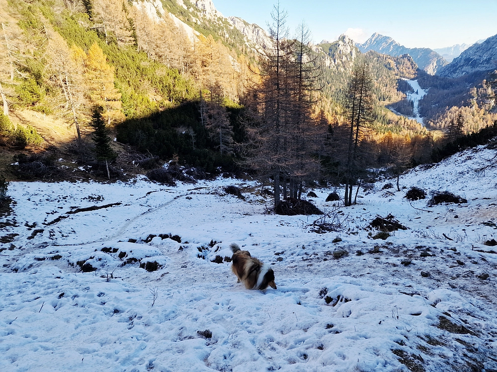 Srednji vrh, 9. 11. 2025