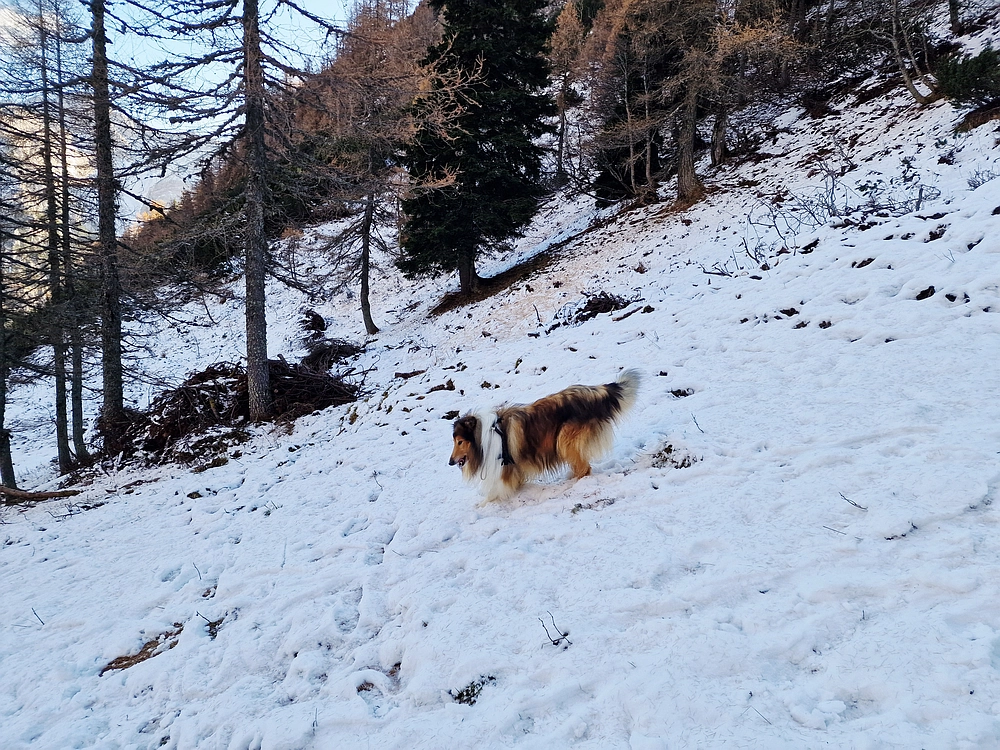 Srednji vrh, 9. 11. 2025