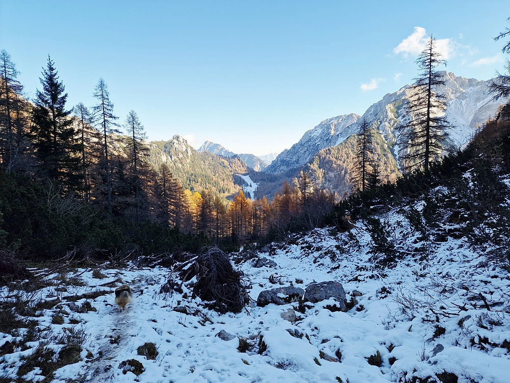 Srednji vrh, 9. 11. 2025