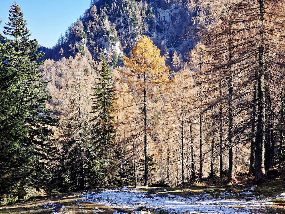 Srednji vrh, 9. 11. 2025