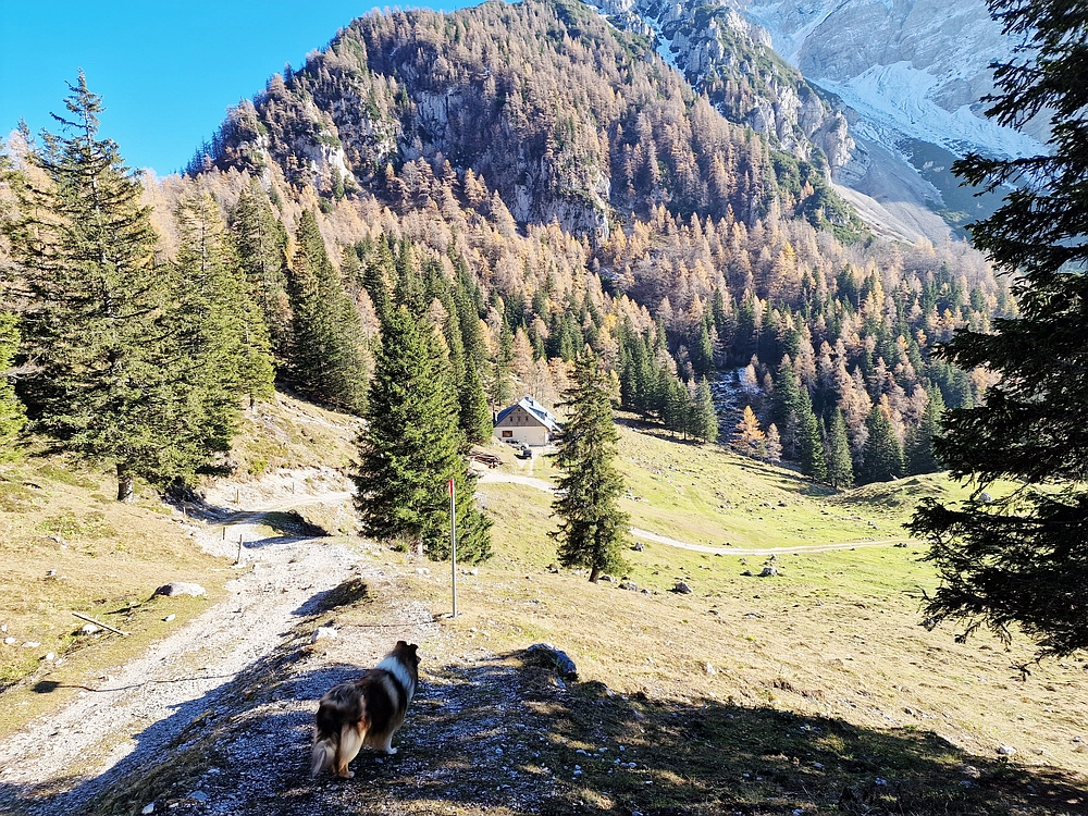 Srednji vrh, 9. 11. 2025