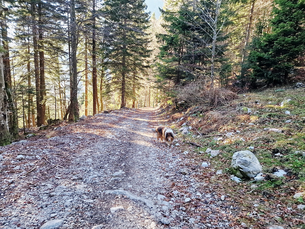 Srednji vrh, 9. 11. 2025