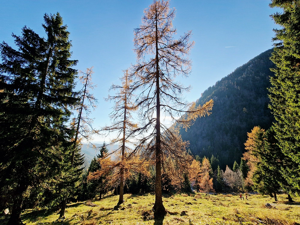 Srednji vrh, 9. 11. 2025