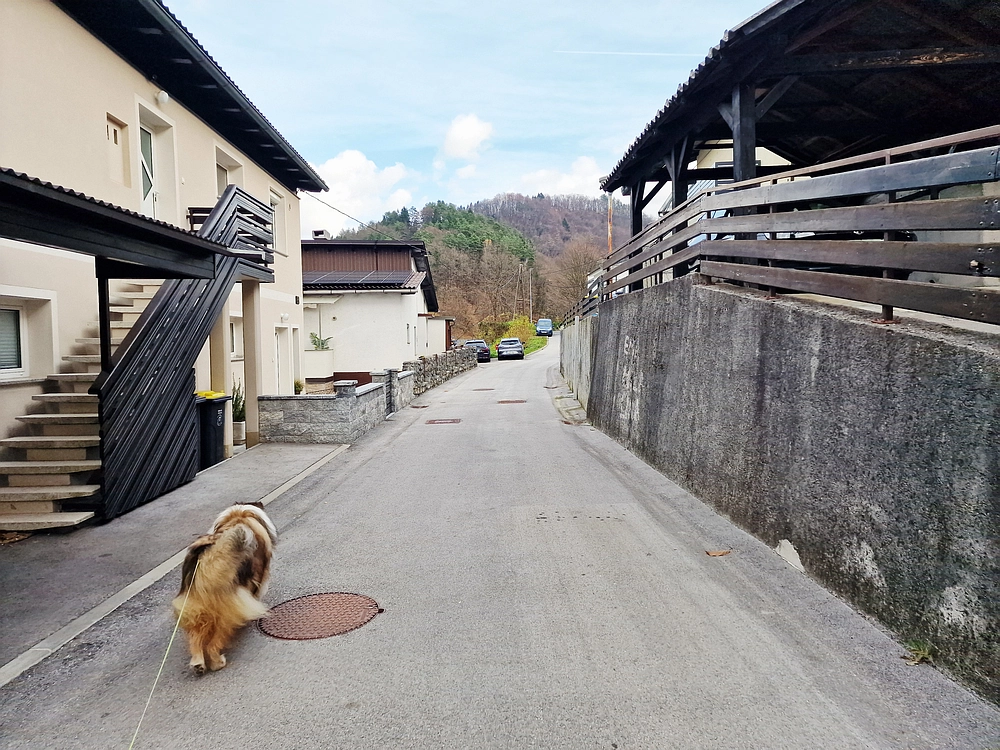 Žrebljev hrib, 15. 11. 2025