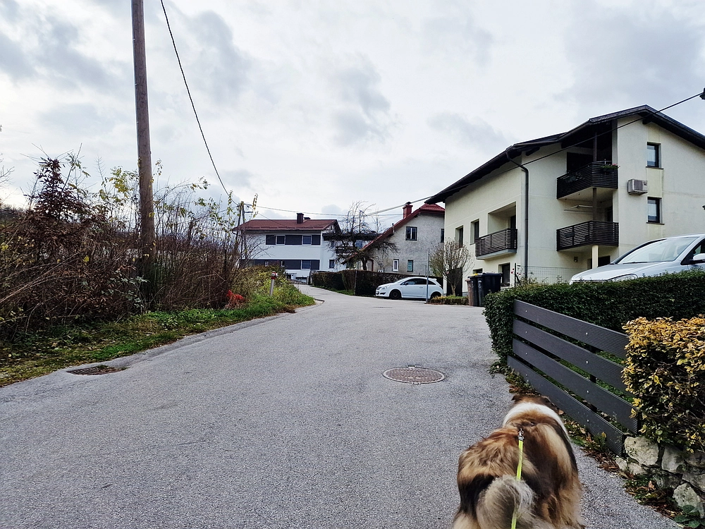 Žrebljev hrib, 15. 11. 2025