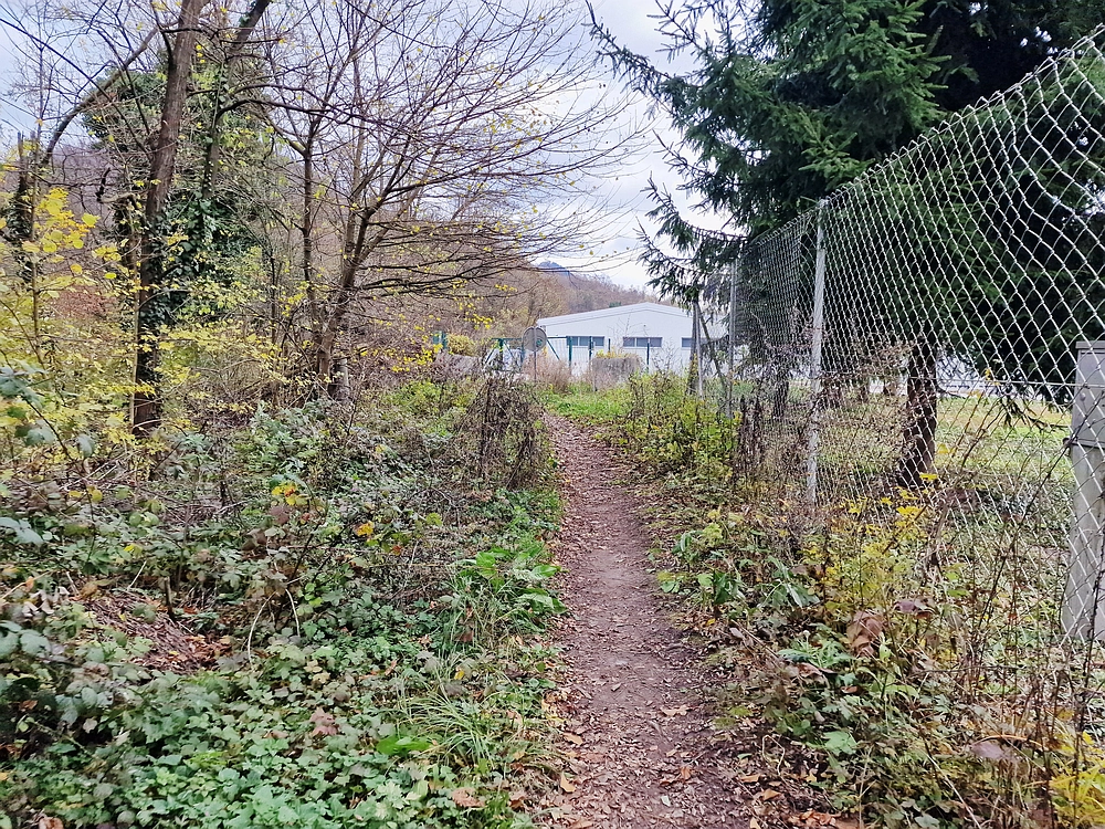 Žrebljev hrib, 15. 11. 2025